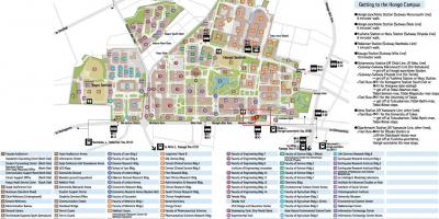 Mappa di hongo campus