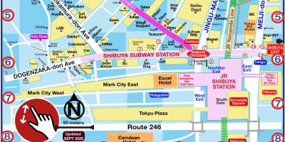 Shibuya mappa shopping